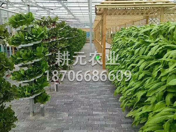 藝術(shù)式螺旋無土栽培設備